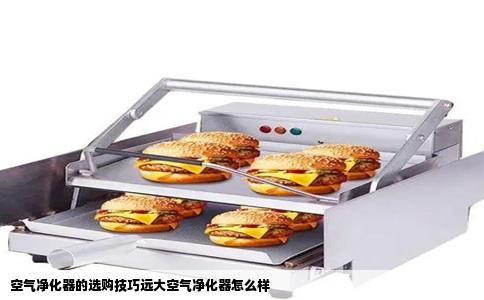 空气净化器的选购技巧远大空气净化器怎么样