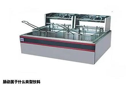 脉动属于什么类型饮料