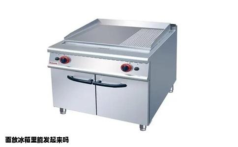 面放冰箱里能发起来吗