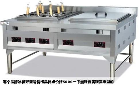 哪个品牌冰箱好型号价格具体点价格5000一下最好要美观实惠型的