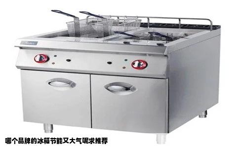 哪个品牌的冰箱节能又大气呢求推荐