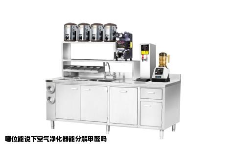 哪位能说下空气净化器能分解甲醛吗