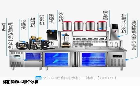 你们买的LG哪个冰箱
