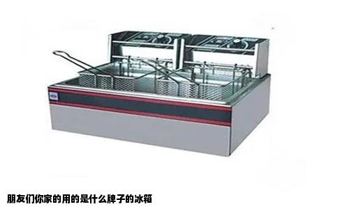 朋友们你家的用的是什么牌子的冰箱