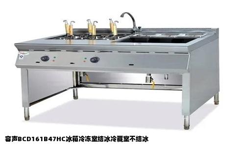 容声BCD161B47HC冰箱冷冻室结冰冷藏室不结冰