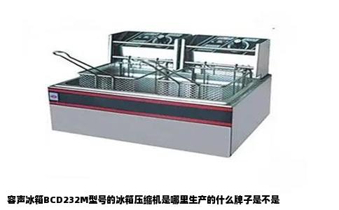 容声冰箱BCD232M型号的冰箱压缩机是哪里生产的什么牌子是不是