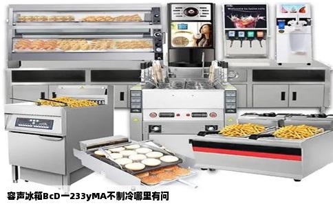 容声冰箱BcD一233yMA不制冷哪里有问