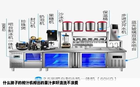 什么牌子的榨汁机榨出的果汁多好清洗不浪费