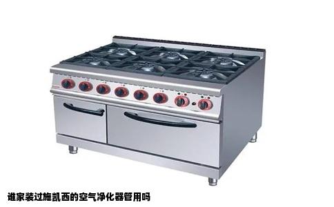 谁家装过施凯西的空气净化器管用吗