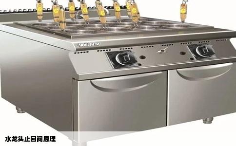 水龙头止回阀原理