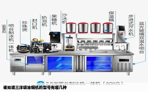 谁知道三洋吸油烟机的型号有哪几种