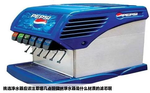 挑选净水器应该注意哪几点啊健纳净水器是什么材质的滤芯啊