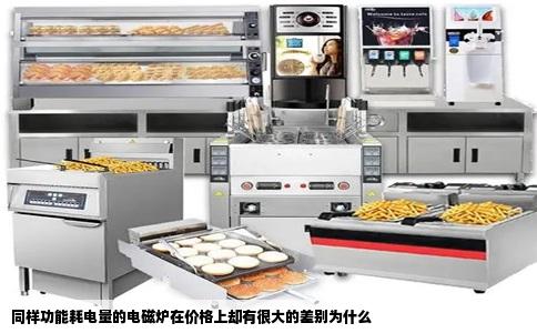 同样功能耗电量的电磁炉在价格上却有很大的差别为什么