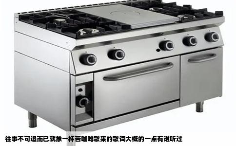 往事不可追而已就象一杯苦咖啡歌来的歌词大概的一点有谁听过