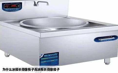 为什么冰箱长得像柜子而冰柜长得像箱子