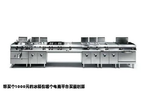 想买个1000元的冰箱在哪个电商平台买最划算