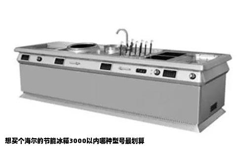 想买个海尔的节能冰箱3000以内哪种型号最划算