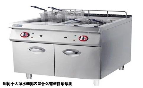 想问十大净水器排名是什么有谁能帮帮我