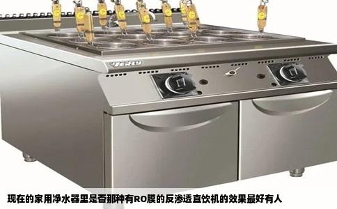 现在的家用净水器里是否那种有RO膜的反渗透直饮机的效果最好有人