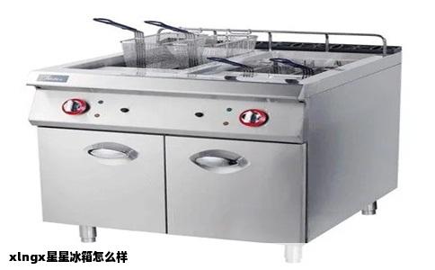 xlngx星星冰箱怎么样