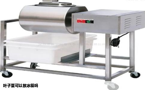 叶子菜可以放冰箱吗