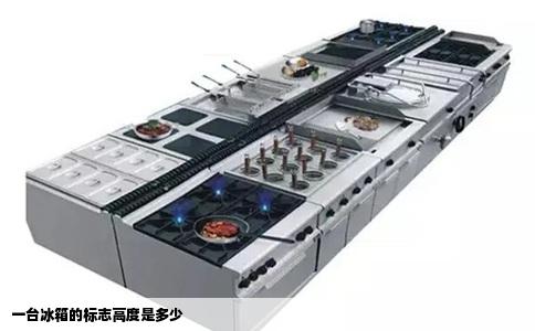 一台冰箱的标志高度是多少