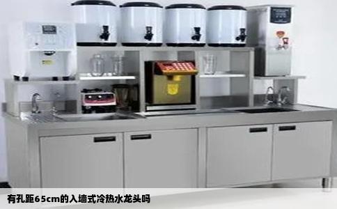 有孔距65cm的入墙式冷热水龙头吗