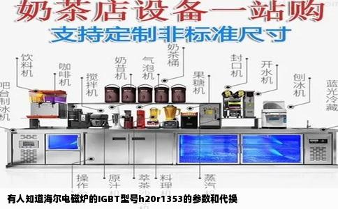 有人知道海尔电磁炉的IGBT型号h20r1353的参数和代换