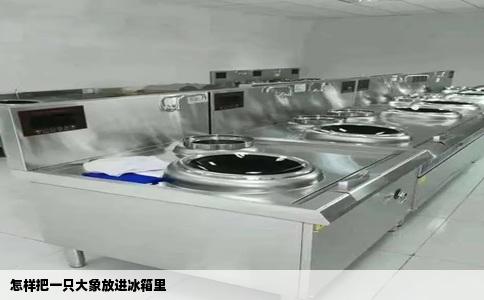 怎样把一只大象放进冰箱里