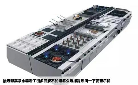 最近想买净水器看了很多品牌不知道怎么选择我想问一下安吉尔和